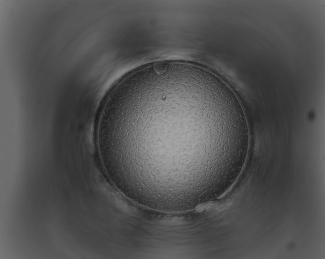 X0000093531174200710191347