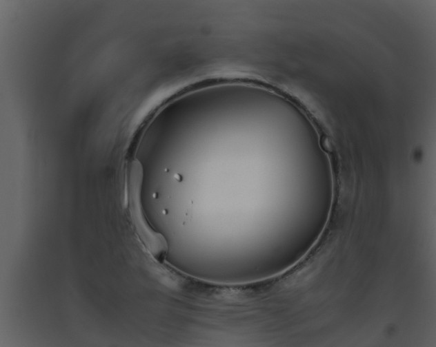X0000093531175200710191347