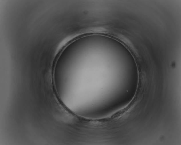 X0000093531176200710191347