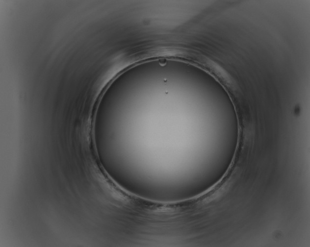 X0000093531178200710191347