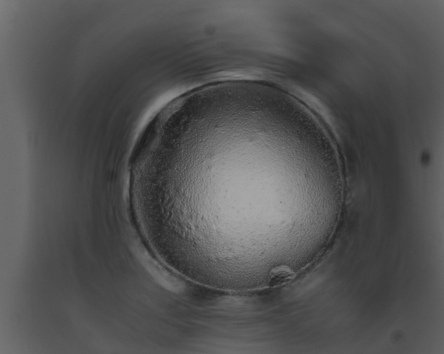 X0000093531179200710191347