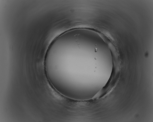 X0000093531181200710191347