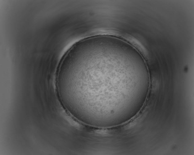 X0000093531182200710191347