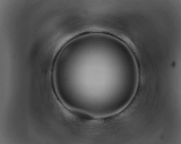 X0000093531183200710191347