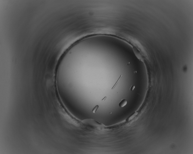 X0000093531184200710191347