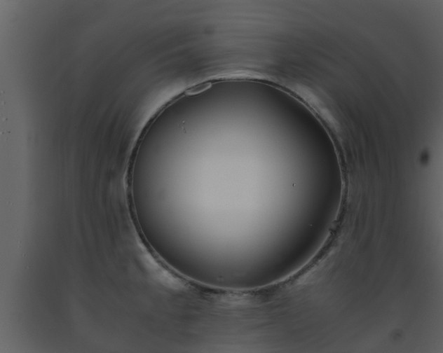 X0000093531189200710191347