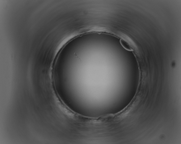 X0000093531190200710191347