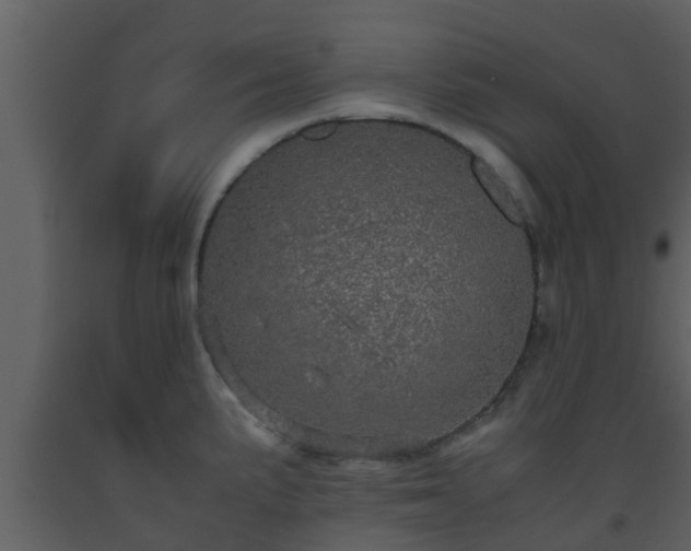 X0000093531191200710191347