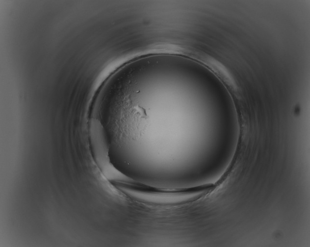 X0000093531192200710191347