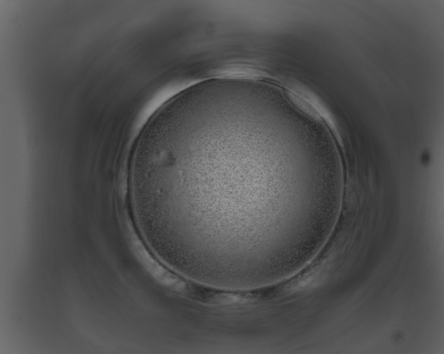 X0000093531195200710191347