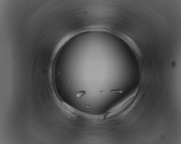 X0000093531196200710191347