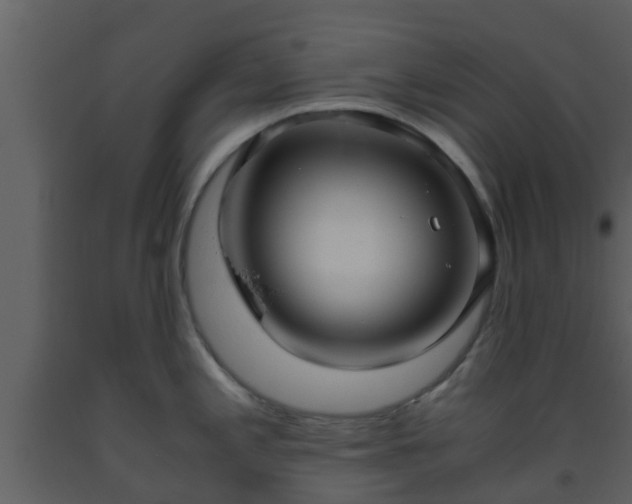 X0000093531197200710191347