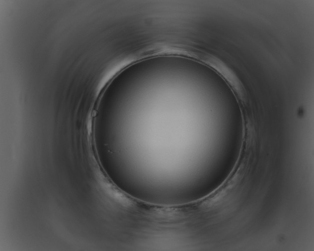 X0000093531198200710191347