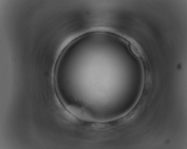 X0000093531199200710191347