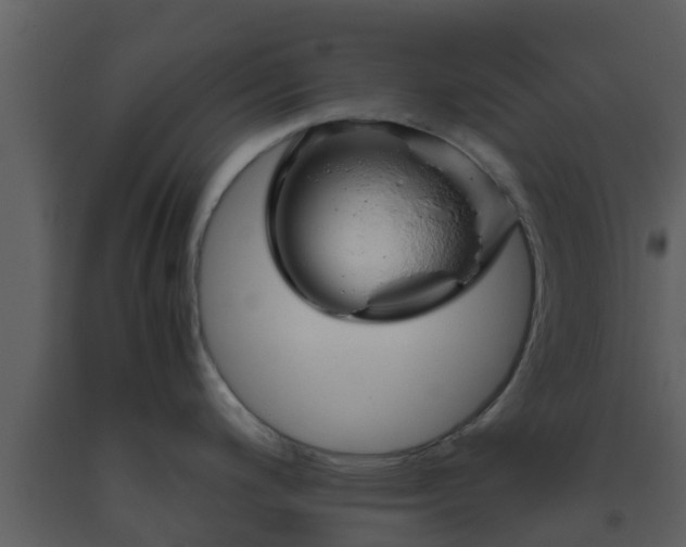 X0000093531200200710191347