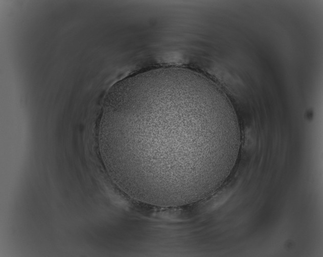 X0000093531201200710191346