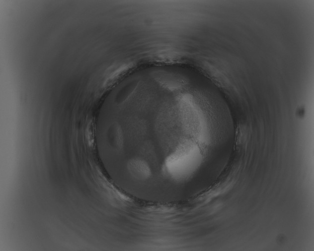 X0000093531202200710191346