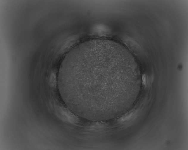 X0000093531203200710191346