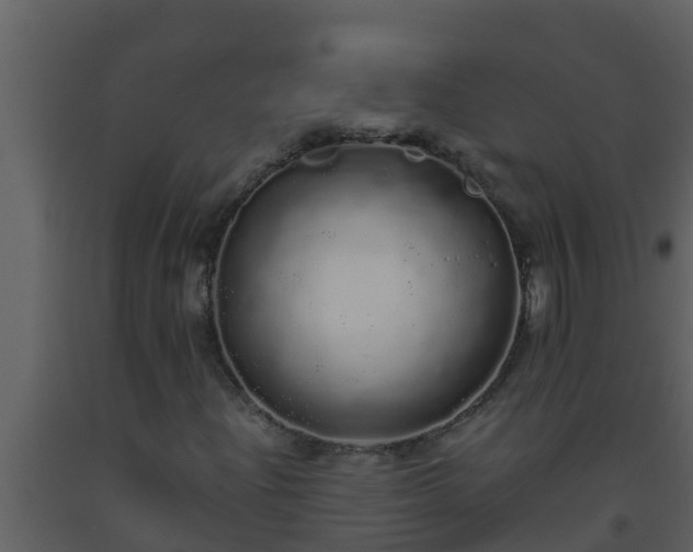 X0000093531204200710191346
