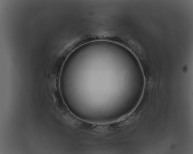 X0000093531205200710191346