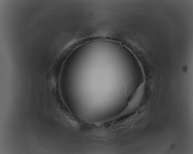 X0000093531206200710191346