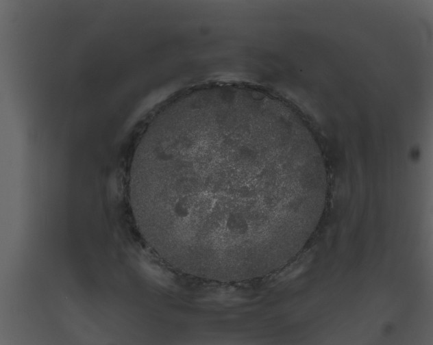 X0000093531207200710191346