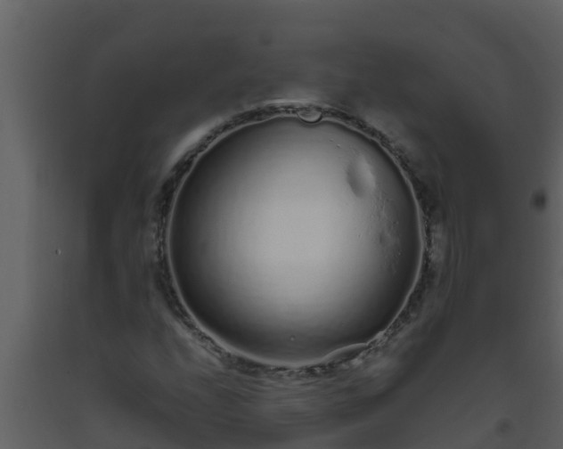 X0000093531208200710191346