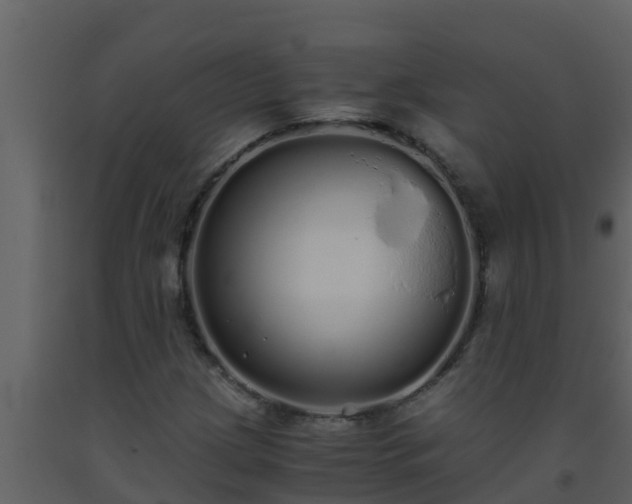 X0000093531209200710191346