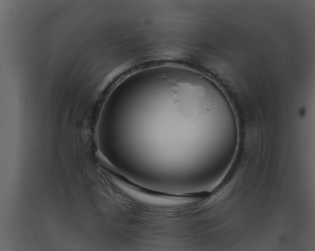 X0000093531210200710191346