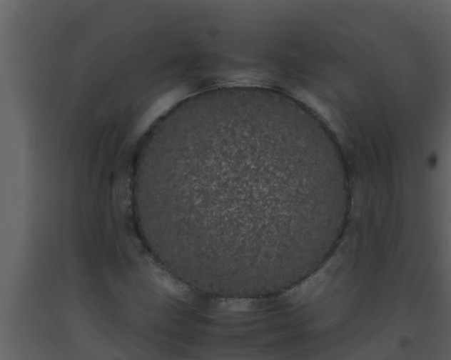 X0000093531211200710191346