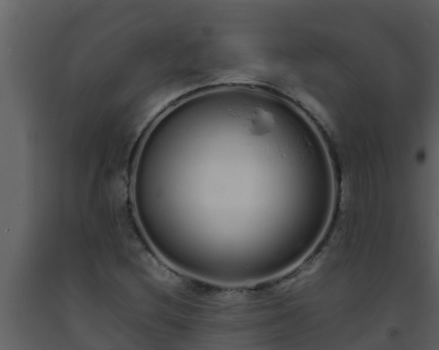 X0000093531212200710191346