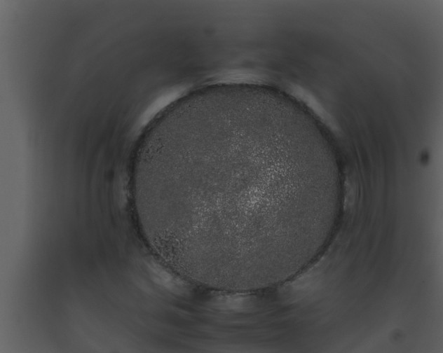 X0000093531213200710191346
