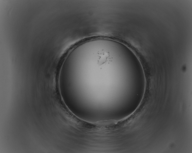 X0000093531214200710191346