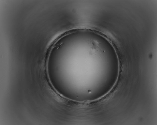 X0000093531216200710191346