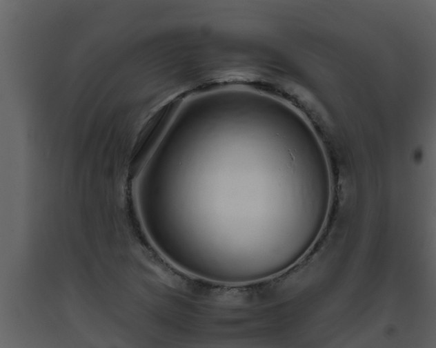 X0000093531217200710191346
