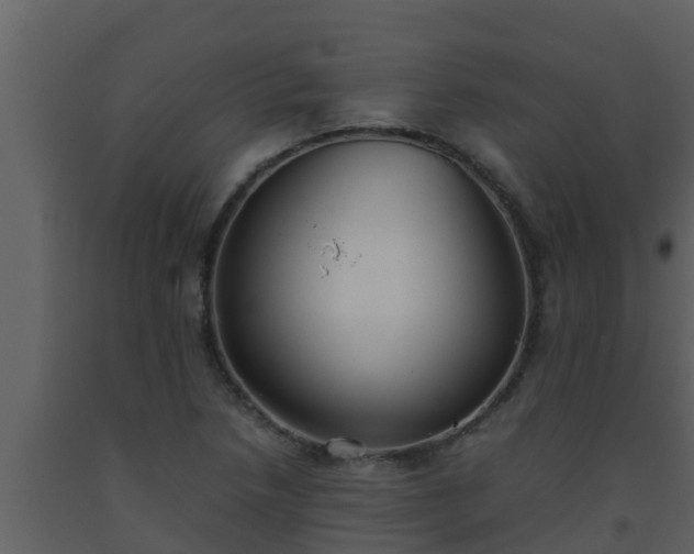 X0000093531218200710191346