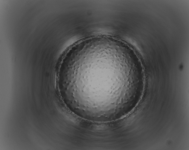 X0000093531219200710191346