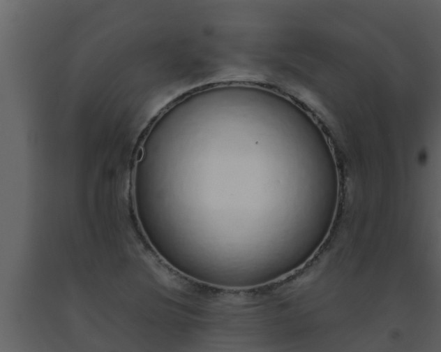 X0000093531220200710191346