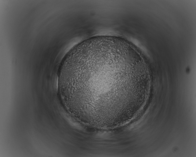X0000093531221200710191346