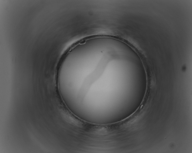 X0000093531222200710191346
