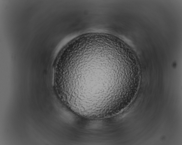 X0000093531223200710191346