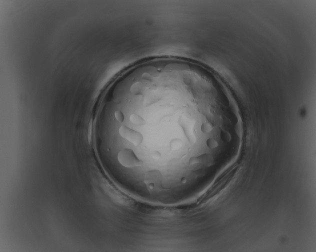 X0000093531224200710191347