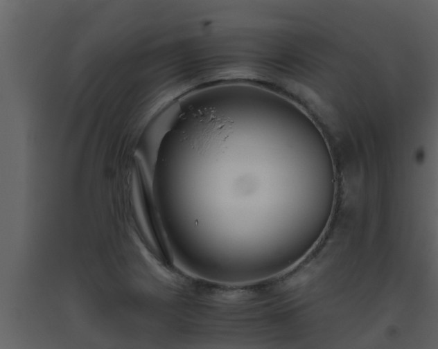 X0000093531225200710191347