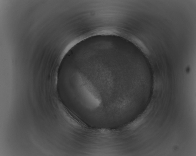 X0000093531226200710191347