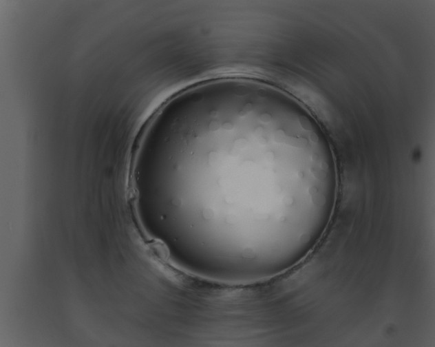 X0000093531228200710191347