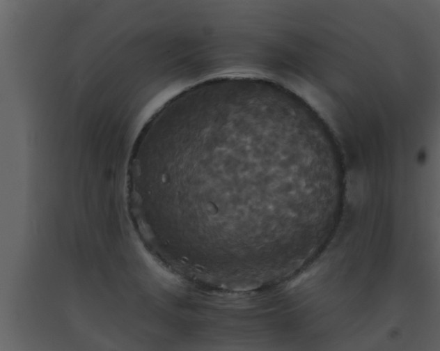 X0000093531229200710191347