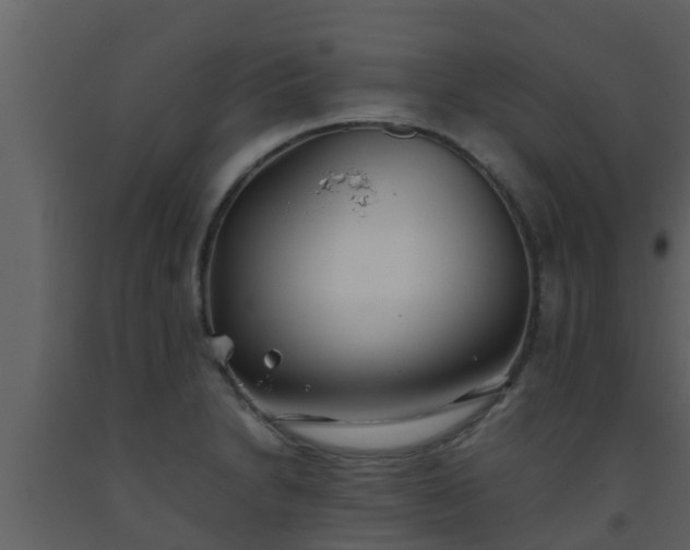 X0000093531230200710191347