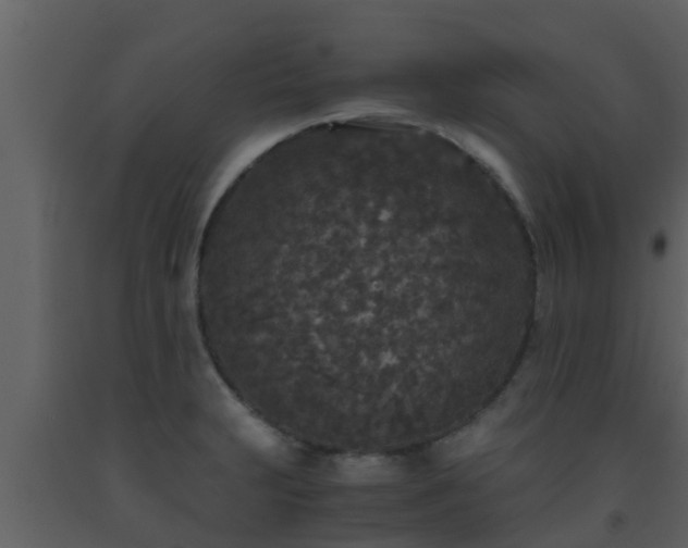 X0000093531231200710191347
