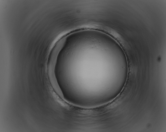 X0000093531232200710191347