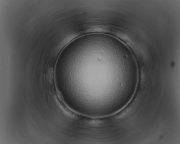 X0000093531233200710191347
